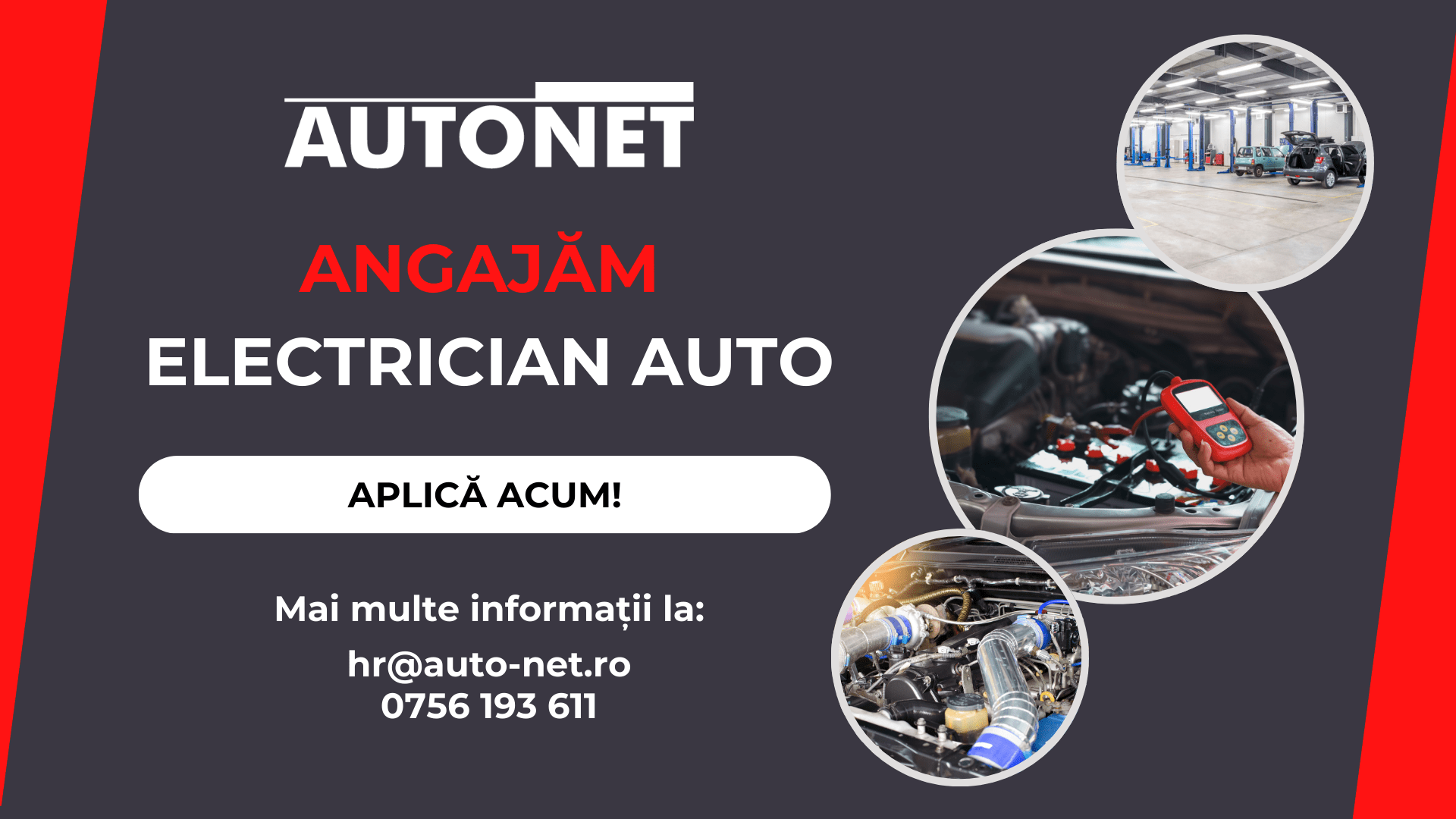 Routine Organization Exams mental map (1920 px × 1080 px) (2)